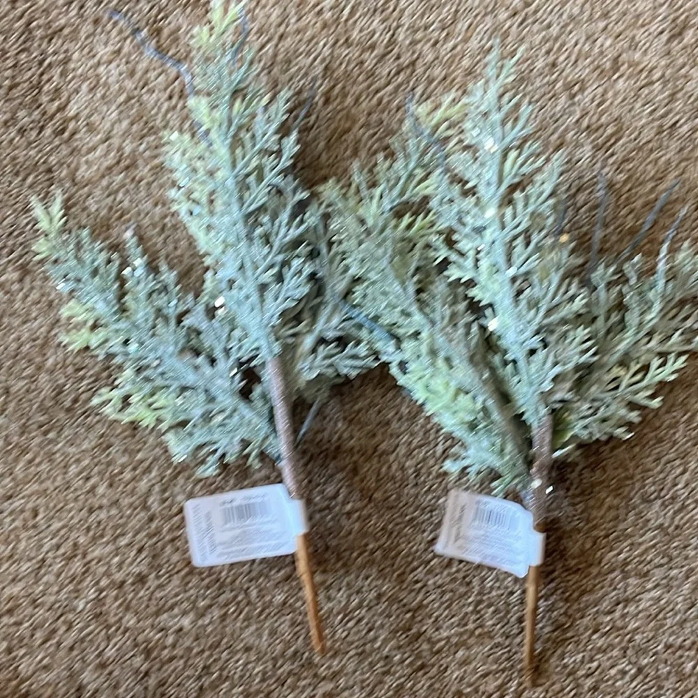 2 Bloom Room Holiday Picks